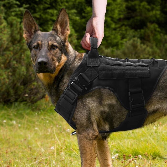 Собачий шлея для великих собак APKOL, тактичний жилет із MOLLE, металевою пряжкою, дихаючий, регульований, міцний, для великих і середніх собак