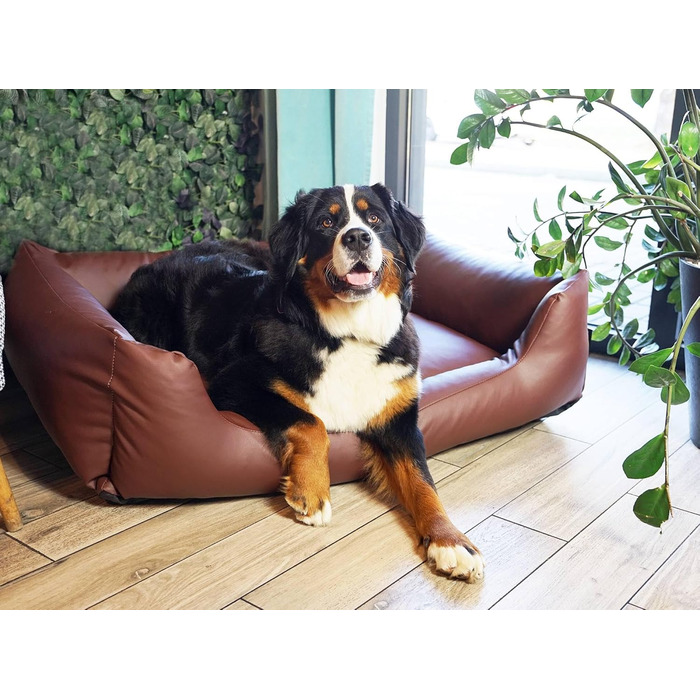 Водонепроникне ліжко для собак 4L Textil Mario з штучної шкіри, корзина для собак, ліжко для великих і середніх собак, собаче ліжко XXL (120x90 см, Коричневе)