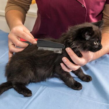 Камбі для вичісування шерсті котів з масажною функцією. ABS пластик, щітка для собак, гладке хутро, зменшує випадіння шерсті. Ергономічна щітка для тварин (блакитна)