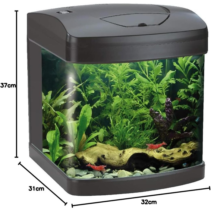 Акваріум Wave Amtra Laguna XCUBE 26 LED чорний, комплект з LED освітленням і фільтром, 26 л, 31x32x37 см