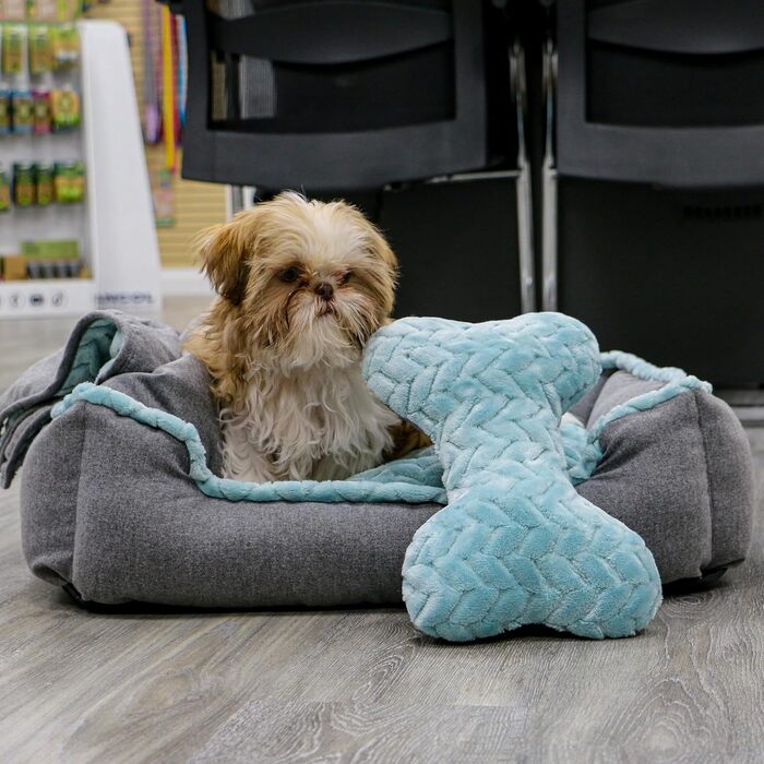 Крісло-лежанка для собак Ancol – м'яка підстилка для дому, 60 x 50 см (блакитно-зелений)