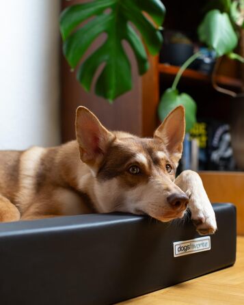 Крісло-лежанка для собак, лежанка для собак, м'яке крісло-лежанка для собак, розмір M, 90 x 70 см, білий