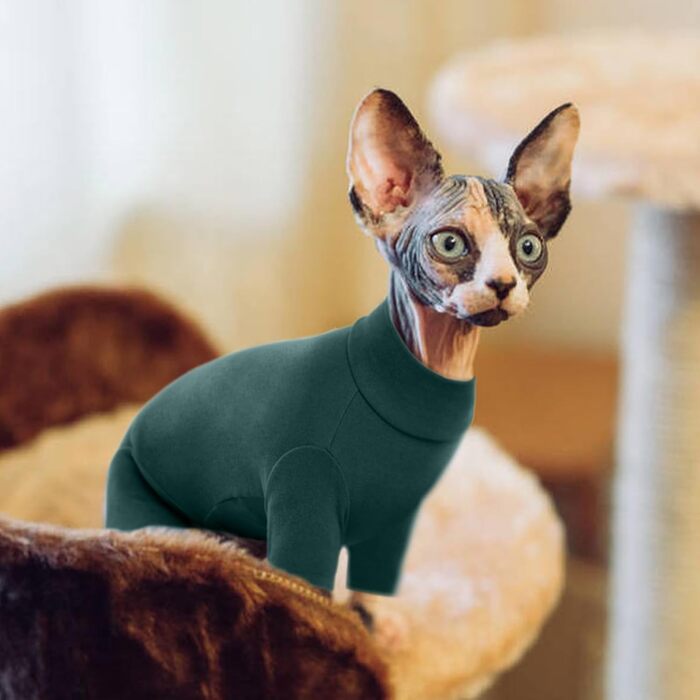 Костюм для котів Sphynx, чотириногий светр після операції, одяг для котів Hjyokuso, пуловер для Sphynx, Cornish Rex, Devon Rex, Peterbald