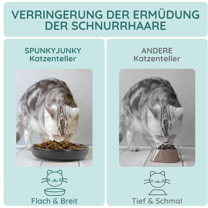 Набори мисок для котів SPUNKYJUNKY 3 шт. з кераміки, чорного кольору (300 мл)