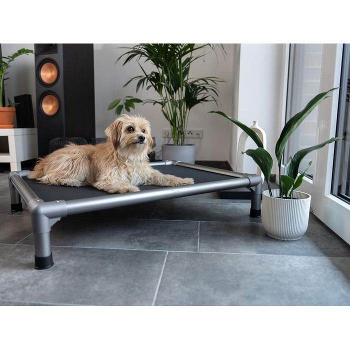 TrendPet HighBed: підняне ліжко для собак з алюмінію (105x80 см), преміум-якість