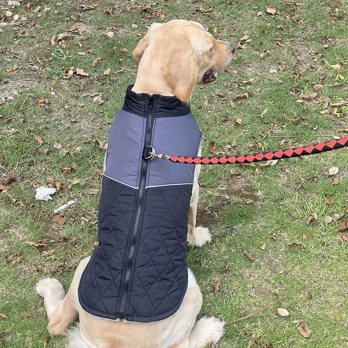 Водонепроникна куртка для собак на зиму: теплий пуловер та захист від дощу для малих та середніх собак (червоний, чорний, S)