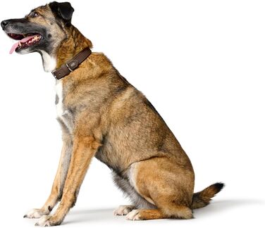 Нашийник для собак HUNTER Amalfi, веганська штучна шкіра Nappa, шоколадно-коричневий (55 см)