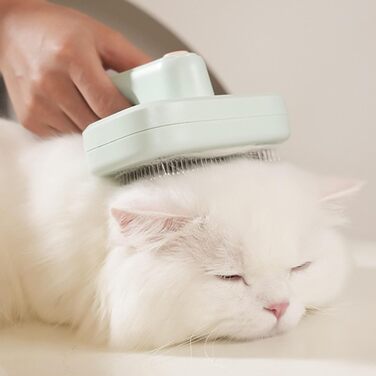 Професійна щітка для тварин Pet Ion Brush з подвійним іонним генератором: самоочисна щітка для собак та котів, м'яке розплутування шерсті та підшерстка, для короткої та довгої шерсті (зелена)