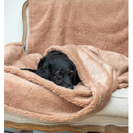 Лежак для собак Rocky and Snowball RS, тауп, 60x80 см