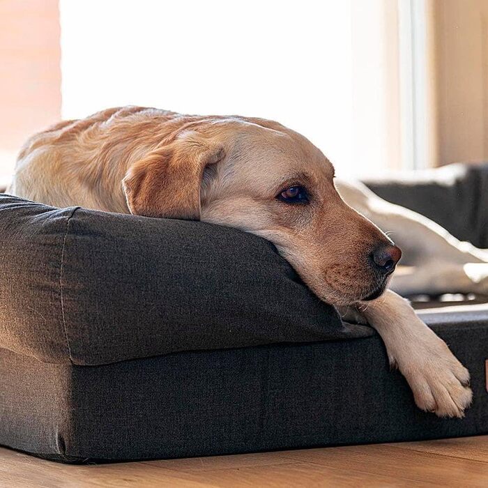 Крісло-ліжко для собак Ferplast, великих порід, з ефектом пам'яті, ортопедичне, 93x73x22,5 см (Сірий), розмір 112x88x27 см