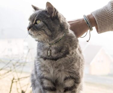 Нашийник для кота Pettsie з безпечною застібкою та браслетом дружби, міцна бавовна, D-подібне кільце для аксесуарів, регульований розмір 19-29 см (19-29 см, блакитний)