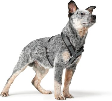 Нашийник для собак HUNTER Maldon, чорний/сірий, XS: м'який, комфортний, з 3M Scotchlite, 4-разове регулювання, з м'яким ручним захопленням