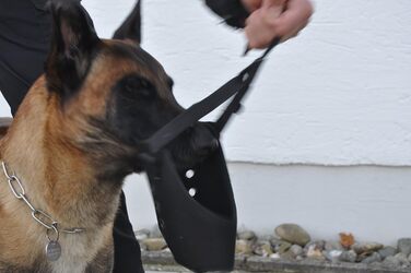Корзина для собак COP® K9 Beisskorb Quick Release, Cordura®, чорна, розмір M
