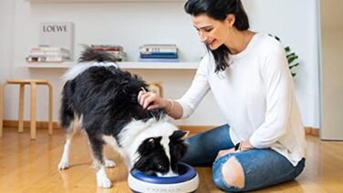 Автоматична поїлка Torus Pet Maxi для собак і котів, 2 л, синя, з фільтром, антимікробна, BPA-free, для дому і подорожей, не протікає
