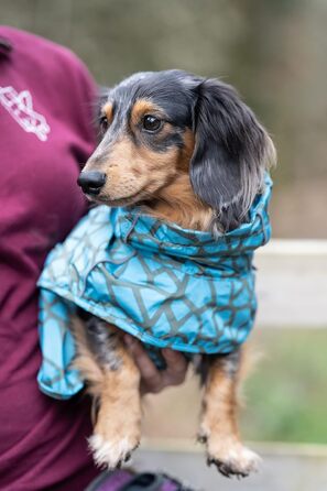 Дощовик для собак Rukka Pets HAYTON WARM Aqua 25, водонепроникний