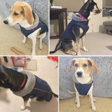 Тепла куртка для собак: флісова накладка на шию, вітрозахисна, водовідштовхувальна, для холодної погоди, велика та маленька, середнього розміру