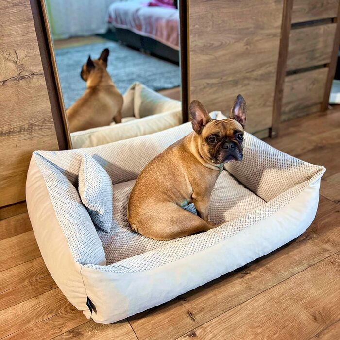 М'яке ліжко для собак 4L Textil Teo, бежеве, 100x80 см. Знімний та пральний чохол, корзина для собак середнього розміру, зручне собаче ліжко.