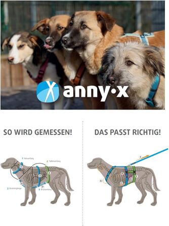 Anny-X нагрудник для собак, сірий/рожевий (L)