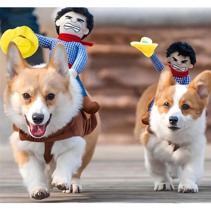 Костюм ковбоя для собак NACOCO, костюм лицаря з шапочкою та іграшкою для Хелловіна, розмір M