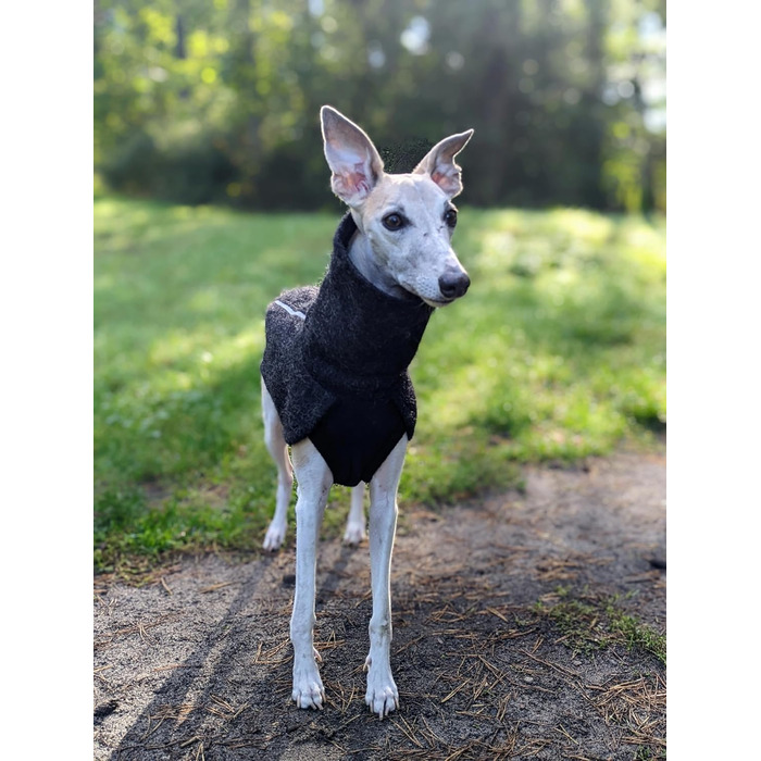 Теплий зимовий теплий для собак EDEL&SCHNELL: вовняна куртка з довгим коміром та світловідбиваючими елементами (45-50 см)