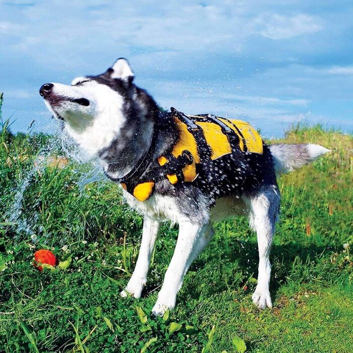 Рятувальний жилет для собак EzyDog DFD, регульований, з ручкою та світловідбивачами, розмір M, червоний