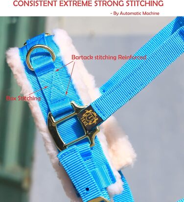 Теке Лонжера з флісовим наповнювачем, повідком та вуздечкою, чорний колір, розмір Cob (M)