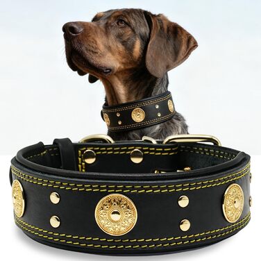 Нашийник для собак з натуральної шкіри, 5 см, ручної роботи, преміум-якість, для великих та середніх порід, M (53.5-63 см, золото-чорний)