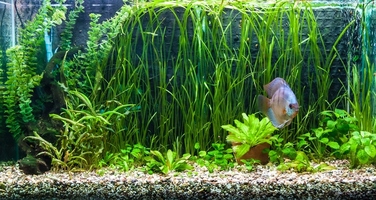 Світлодіодна лампа AQUALED 15 Вт