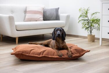 Матрац для собак Kerbl Oliver з піною з пам'яті, ортопедичний, для собак з проблемами суглобів, знімний чохол, виготовлено в Італії, коричневий, 80x50x8 см