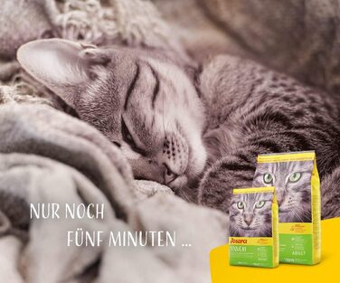Сухий корм для котів Josera SensiCat для чутливого травлення, без смакових добавок, 10 кг