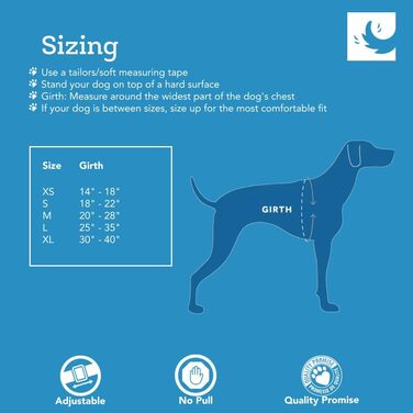 Шлейка для собак RC Pets Tempo, не тягне, розмір XL, бірюзова