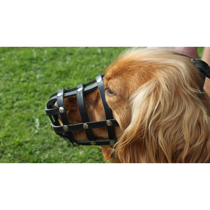 Шкіряна маска для собак L&J Pets для мопсів, пуделів, хаскі та інших собак з подібним розміром морди (5, Чорний) Чорний 5