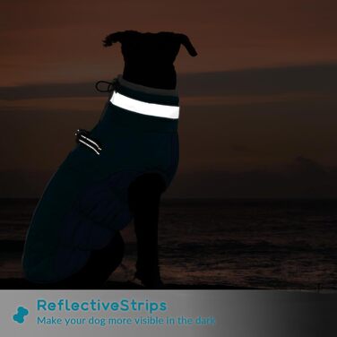 Зимовий теплий одяг для собак - куртка, пуловер, жилет для маленьких собак, чихуахуа (XXL, темно-зелений)