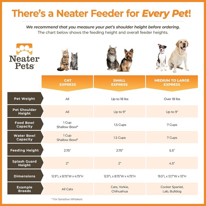 Neater Feeder Express – підвищена годівниця для собак з нержавіючої сталі, для малих порід, колір мигдальний