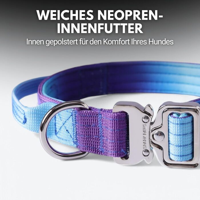 Тактичний нашийник для собак Spark Paws – міцний, преміум-якість, товстий та довговічний для великих та середніх собак. 90s Retro, XS: 9-18 кг [2.5 см]