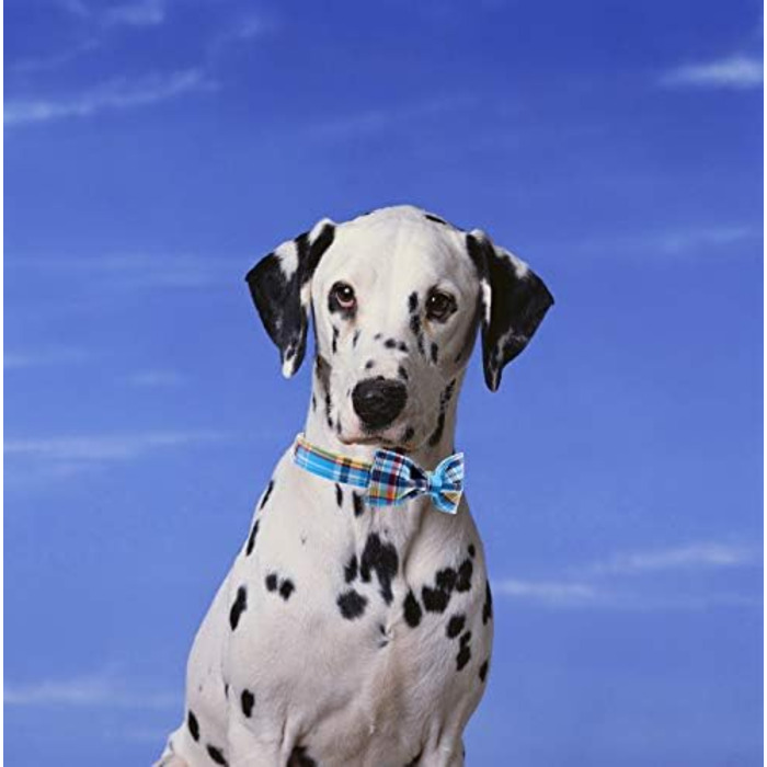 Елегантне собаче намисто з відстібаною метеликом, регульоване намисто з бантиком для собак та котів, XX-XL (XS, Синій сітка)