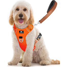 Шлея для собаки TUFFDOG Easy-Fit M, зручна, м'яка, світловідбивна, із ручкою, регульована, антиковзна, комплект із повідцем, Blaze