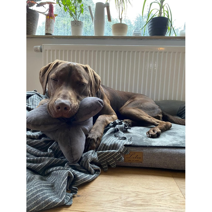 Подушка для собак Lebon Cruto XL - м'яка, для відпочинку та ігор, Made in EU