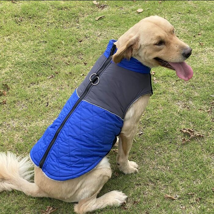 Водонепроникна куртка для собак на зиму: теплий пуловер та захист від дощу для малих та середніх собак (червоний, синій, XS)