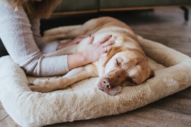 Килимок для собак Hunter Vermont Cozy, M, бежевий - м'який, з антиковзаючим покриттям, миючий