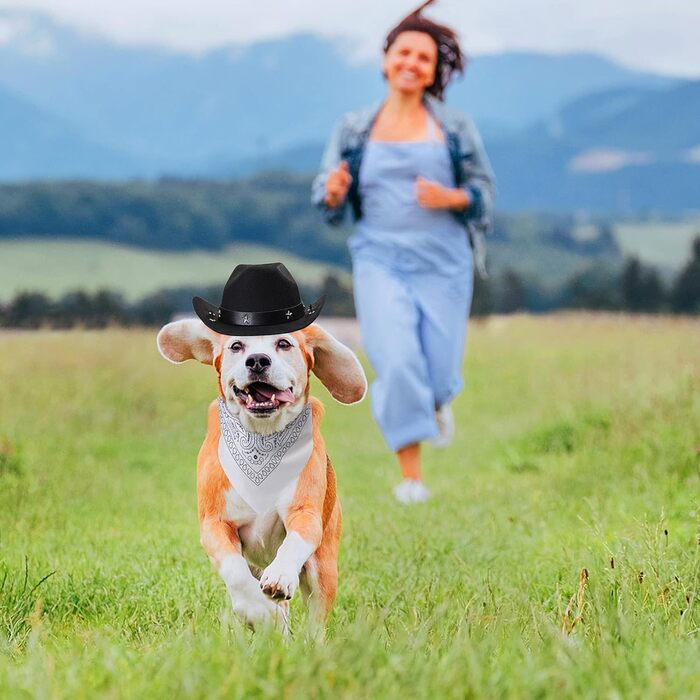 Костюм ковбоя для собак та котів Yewong, 2 шт. (червоний, чорний)