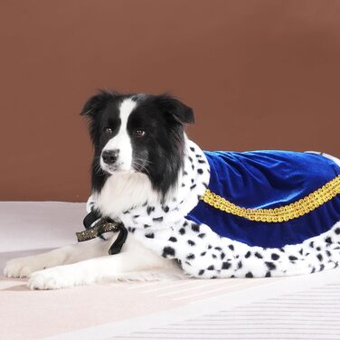 Розкішний мантія Lovelyhop для котів та собак, карнавальний костюм на Halloween, королівський, принц, принцеса, для котів та собак (M, світло-блакитний)