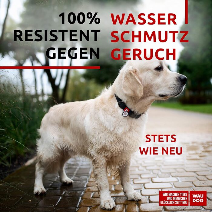 Водонепроникний нашийник для собак WAUDOG, регульований, для великих, середніх та маленьких собак, металевий замок, 31-49 см, 25 мм