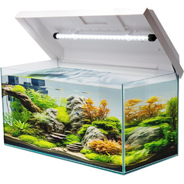 Акваріум прямокутний Juwel з LED кришкою, білий, 60x30x30 см, 54 л, скляний, для риб та водних рослин, ударостійкий