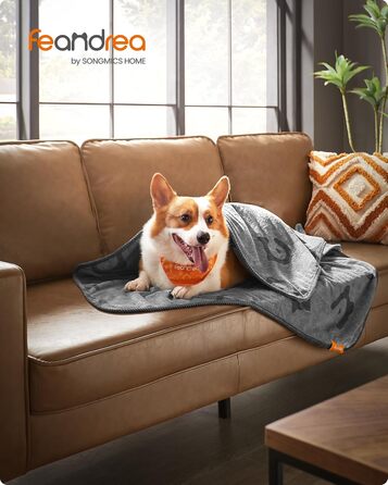 Накидка для собак Feandrea, 3 шт. в наборі, L, 127 x 102 см, фланель, сірий, для захисту дивану, для собак маленьких та середніх порід