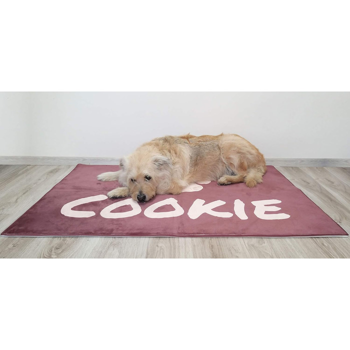 Килимок для собак на замовлення з фоновим малюнком, кісточками, лапами, текстом та шрифтом