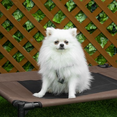 PawHut Outdoor Bed Bed Robust Lounger для собак 76x61x18см з 600D Oxford в коричневому кольорі для собак і кішок