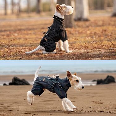 Дощовик для собак, регульований, з 4 лапами, водонепроникний, вітронепроникний, світловідбиваючий, для малих та середніх собак, розмір M, (3XL: Довжина спини: 41см, Чорний)