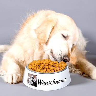 Миска для корму з фотографією для собак PhotoFancy® - персоналізована з власним дизайном, Layout 1