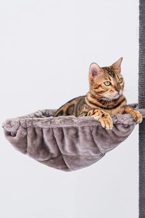 Дряпка для котів Petrebels Alexis 224 до стелі, 45x35x224 см, капучино